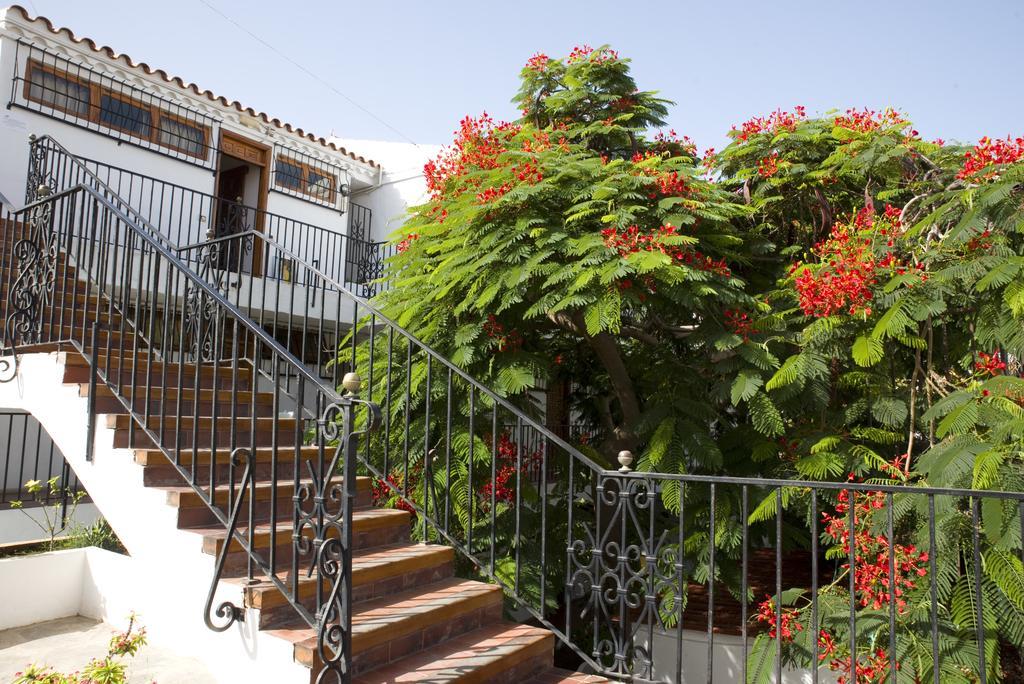 Alsol Las Orquideas بلايا ديل إنغلز المظهر الخارجي الصورة